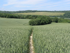 P20056196209	The path from North Wood to Upper Bush.