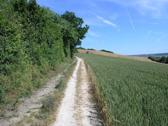 P20056196218	The path to the south of Ranscombe.