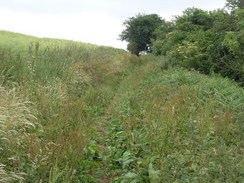 P20057026349	The escarpment to the northwest of Hollingbourne.