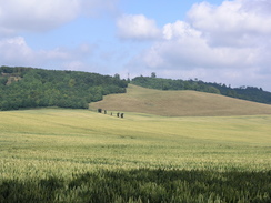 P20057096416	Views to the northeast of Westwell.