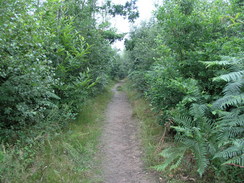 P20057106504	The path heading out of No Man's Orchard.