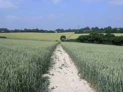 P20057166645	The path heading east from Shepherdswell.