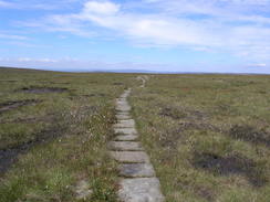 P20058087361	Heading northwestwards across White Moss.