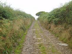 P20059306793	Heading uphill along the track from Ebrandy House.