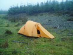 P20059306817	My tent in the woodland.