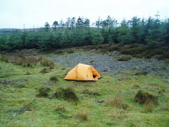 P2005A016820	My tent in the woodland.