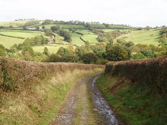 P2005A016864	The track leading west from Llanbadarn Fynydd.