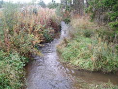 P2005A026933	A stream to the south of Nanteos.