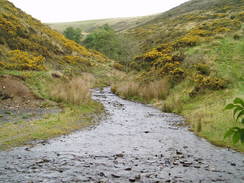 P2005A026942	The brook near Grach.