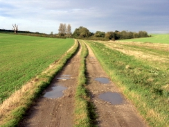 P2005B057972	The track leading south towards Hawkedon.