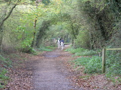 P2005B128044	The Cole way heading west from Hertford.