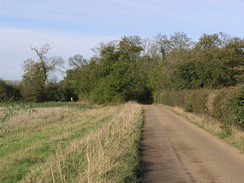 P2005B128067	The track heading northwestwards from Mill Green.