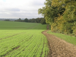 P2005B138206	Heading uphill into Galleywood.