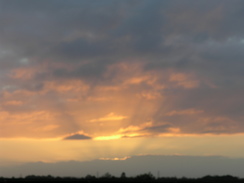 P2005B138265	The sun setting near Hatfield Peverel station.