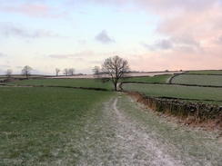 P2005C279117	The path leading west out of Baslow.