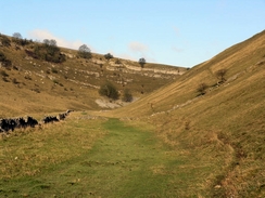 P2005C279196	Cressbrook Dale.