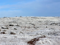 P2005C299362	The landscape near the Hern Stones.