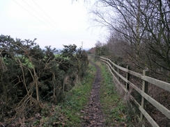 P20061159551	The path beside the M25.