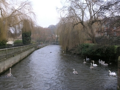 P20061280007	The River Itchen from Segrim's Mill.