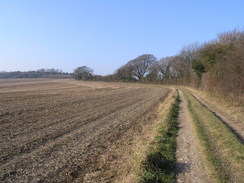 P20061280033	Heading east towards Lomer Farm.