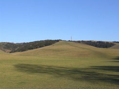 P20061290132	Looking north back up Butser Hill.