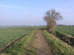 P20062050431	The path leading northeastwards out of Saffron Walden.