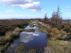 P20062180688	The track along the edge of Rievaulx Moor.