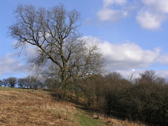 P20062180730	Heading south above Riccall Dale.