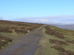 P20062190768	The track heading southeast towards Bank Top.