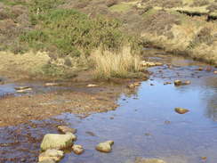 P20062190792	The ford across a stream.