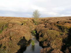 Hartoft Beck.