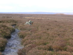 P20062200956	Heading east along the path across Wheeldale Moor.