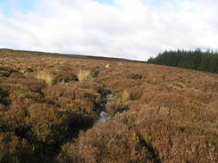 P20062200962	Heading east along the path across Wheeldale Moor.