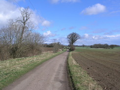 P20064011502	The road leading towards Gipping Lone.