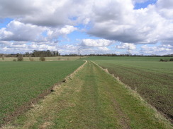 P20064011527	The path heading away from Wickham Skeith church.