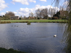 P20064011554	The village pond in Thrandes.