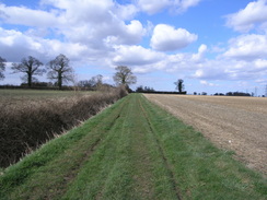 P20064081681	The track heading north from Newton Greenways.