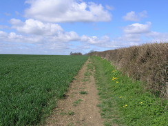 P20064171995	The path leading towards Abbotsley.