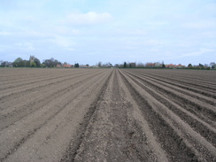 P20064222149	A ploughed field to the south of Rolleston.