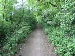 P20065132557	The path heading north to the east of Salfords.