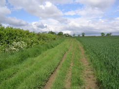 P20065292701	The bridleway between Crown Point Farm and Sewstern.