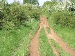 P20065292740	The track heading north from Saltby Airfield.