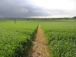 P20065292806	The path between Edmondthorpe and Market Overton.