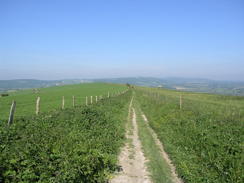 P20066032836	The path across Amberley Mount.