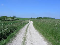 P20066032897	Heading east from Chanctonbury Ring.