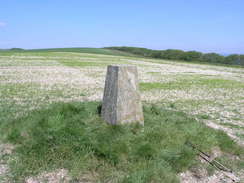 P20066032905	The trig pillar near Steyning.