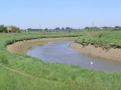 P20066032926	The River Adur.