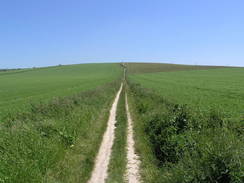 P20066032935	The path heading east up onto Beeding Hill.