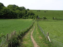 P20066043091	The path from Balmer Down to Bunkershill Plantation.