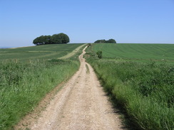 P20066103249	Heading northeastwards along the track towards Barbury Castle.